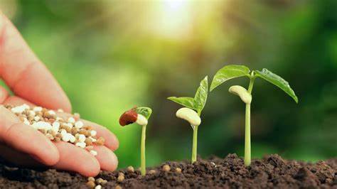 Fertilité des Sols