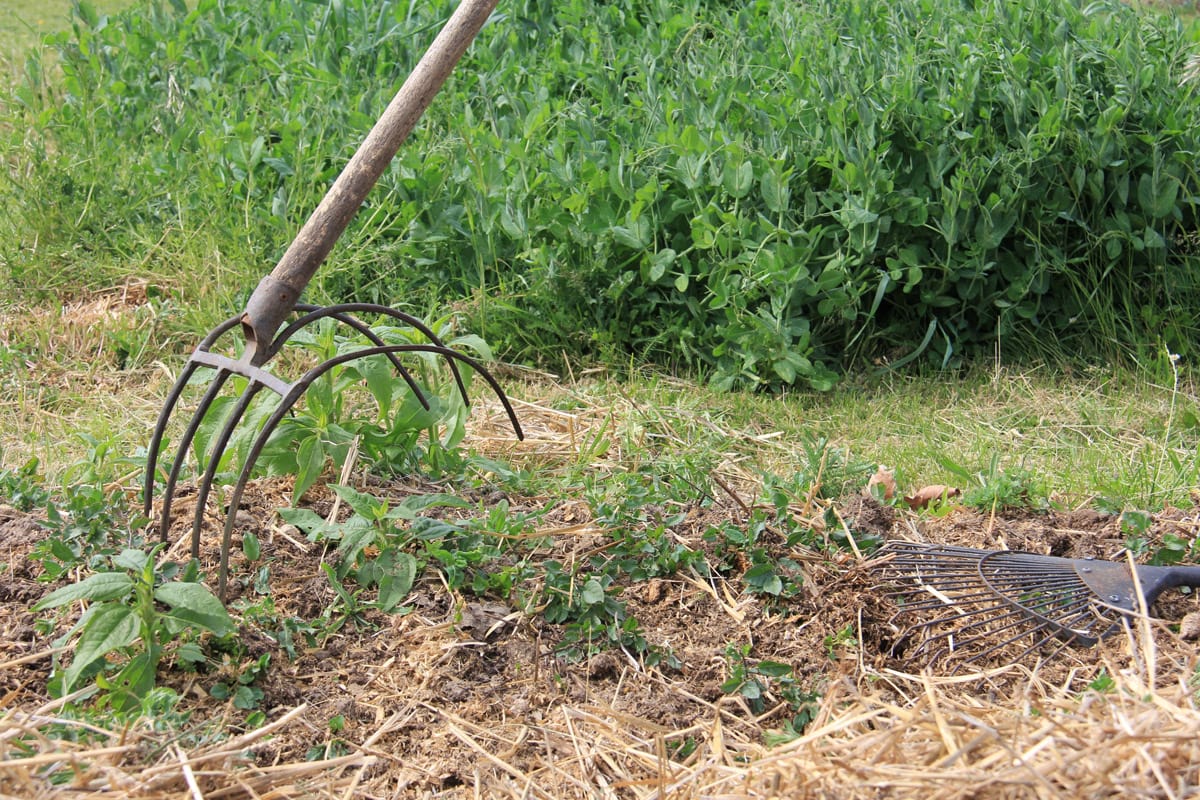 Agropédologie