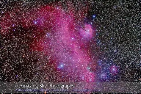 Dynamique Stellaire