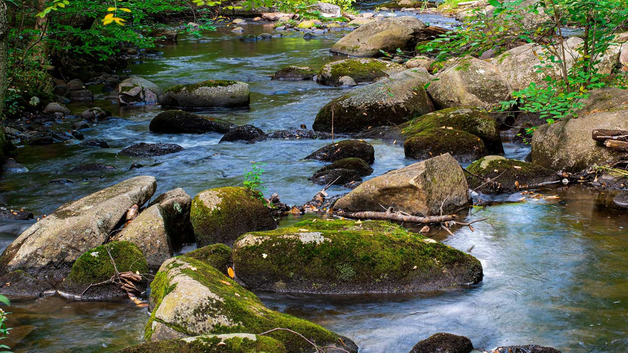 Chimie et Géochimie des Eaux de Surface